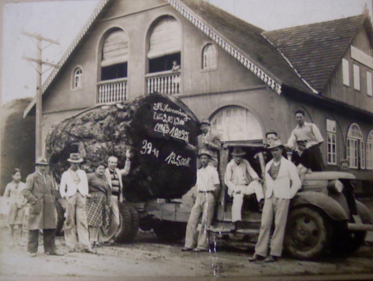 Hotel Scholze Canoinhas Exterior foto